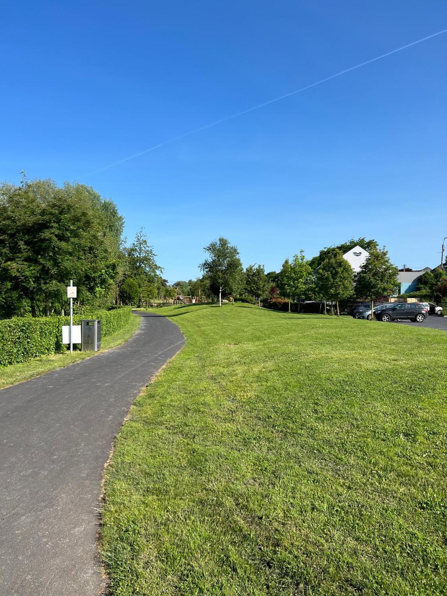 'Maigue View' By The River Croom Exterior foto