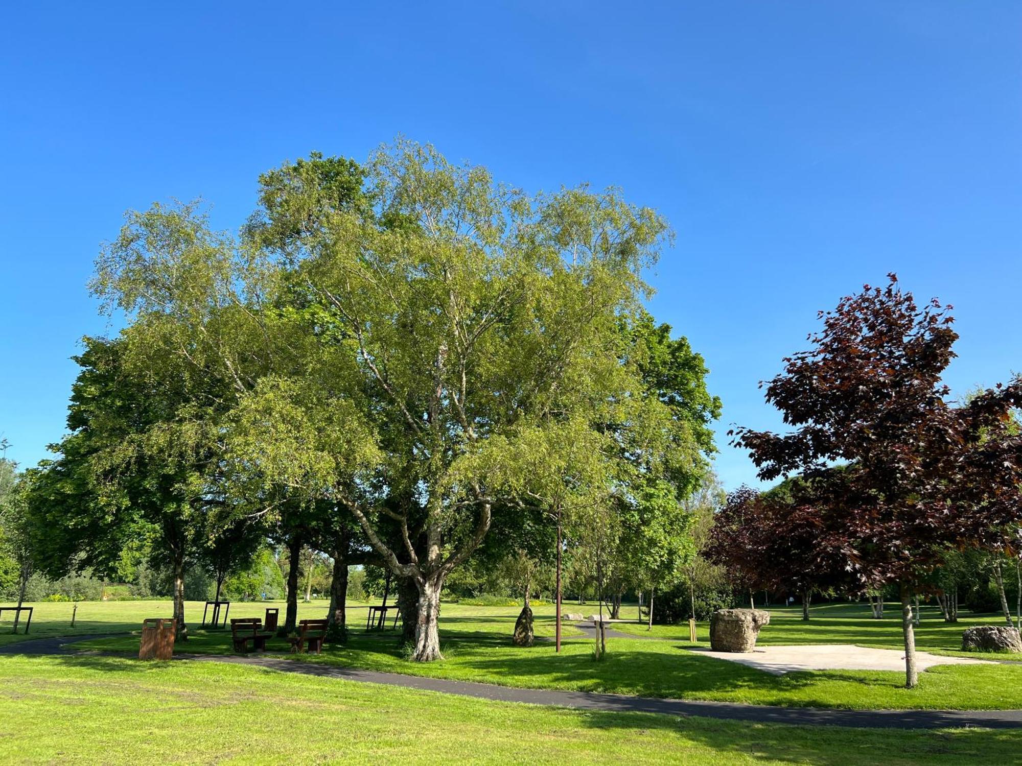 'Maigue View' By The River Croom Exterior foto